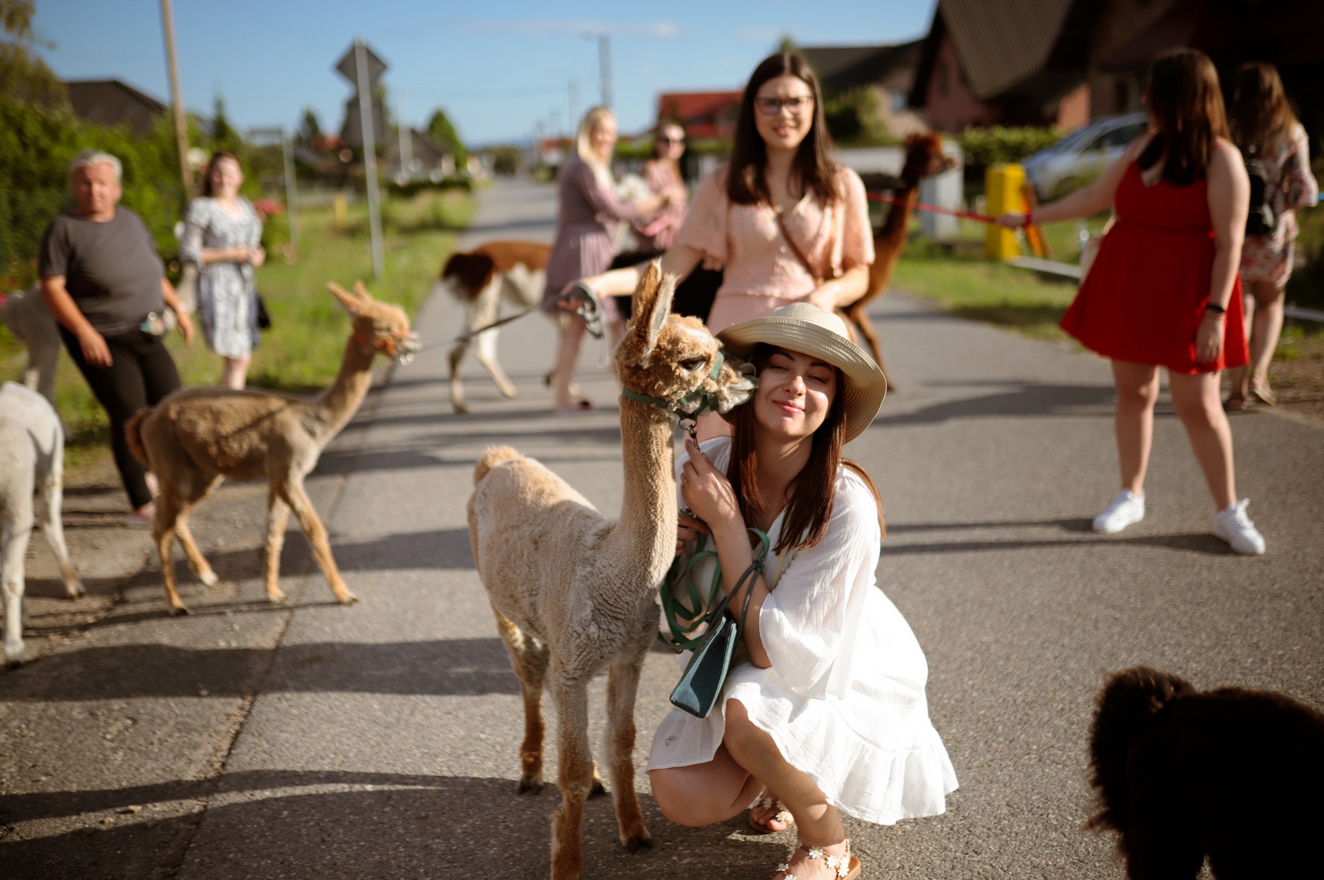 Spacer z alpakami podczas wieczoru panieńskiego Karoliny w Malinowej Chatce pod Krakowem