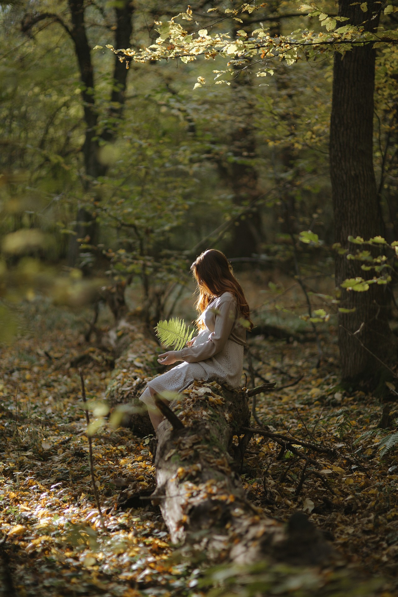 Sesja zdjęciowa ciążowa Moniki w lesie w Żurawicy koło Przemyśla na Podkarpaciu z paprocią