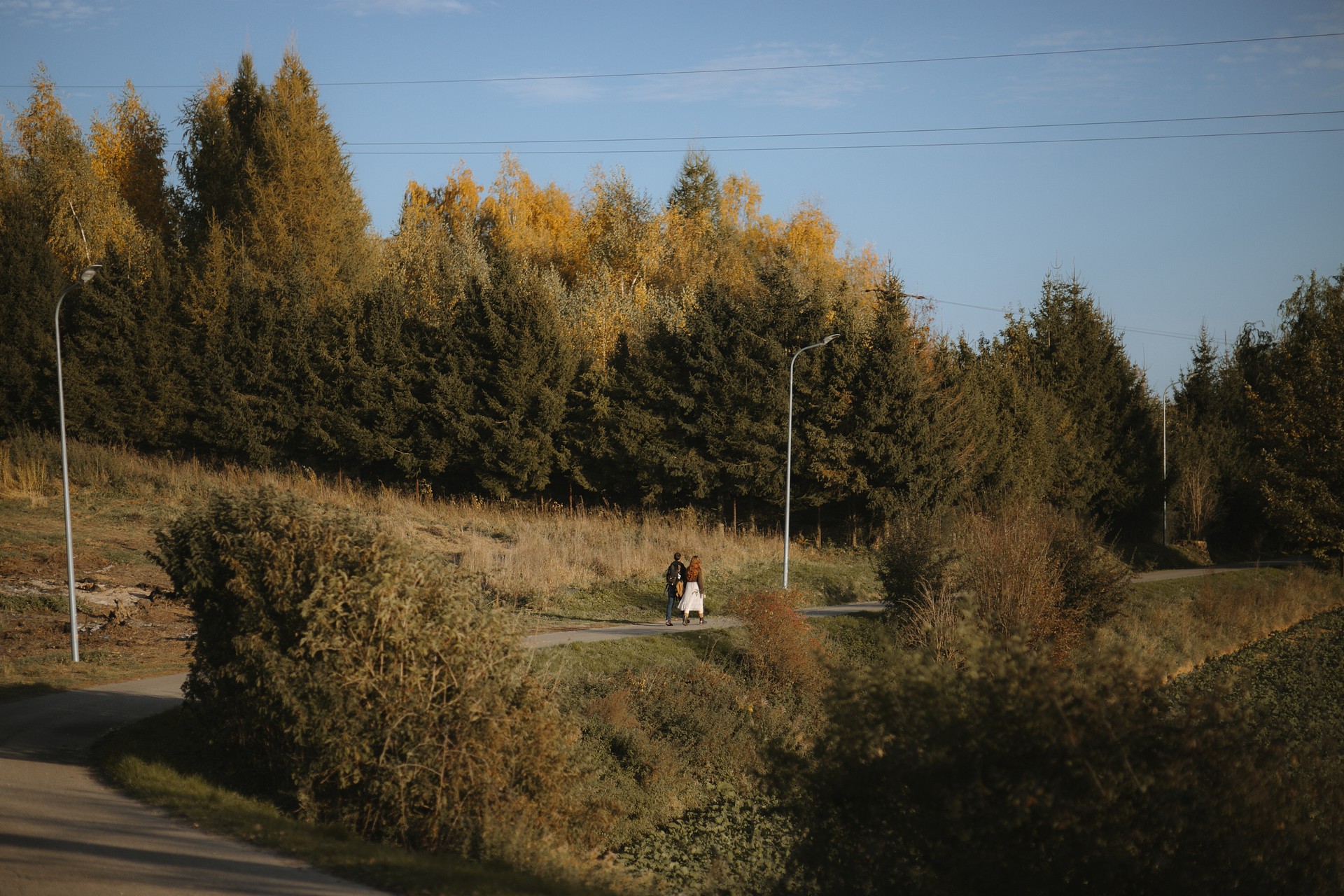 Sesja zdjęciowa ciążowa Moniki w lesie w Żurawicy koło Przemyśla na Podkarpaciu